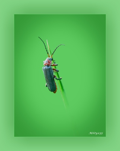 pohľad do neznáma...