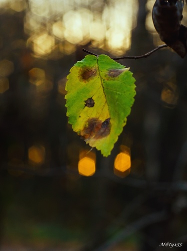 keď slniečko zapadalo...