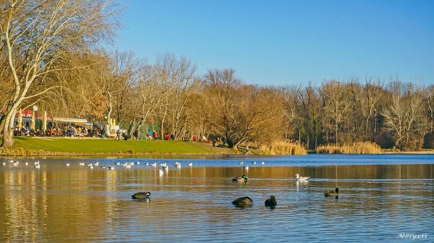 vianočná pohoda...
