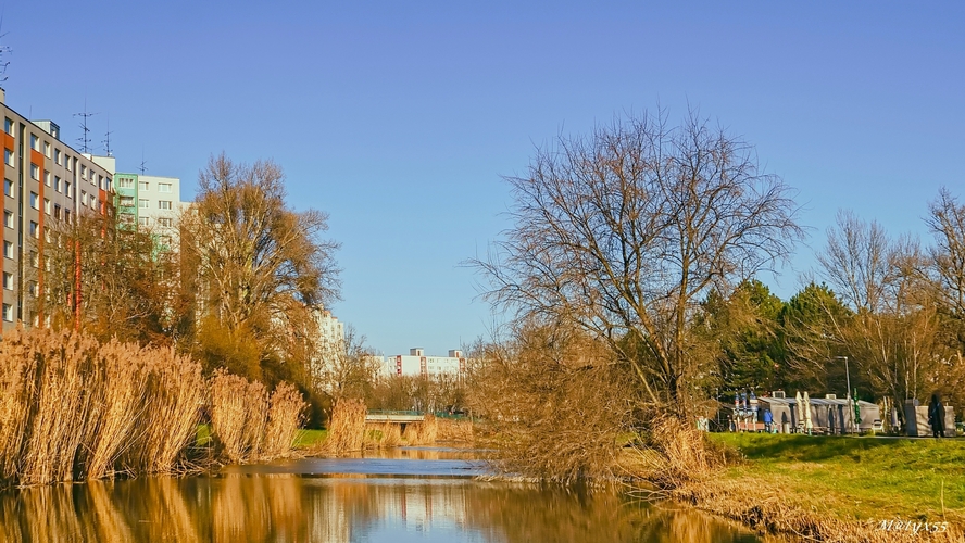 vianočná pohoda II