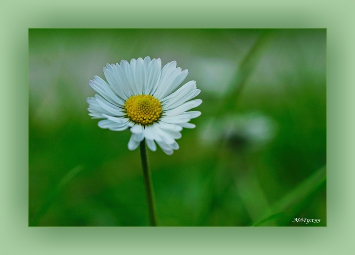 novembrová spomienka...