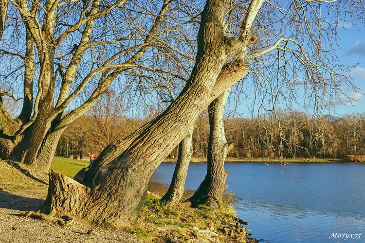 sobotná polahoda...