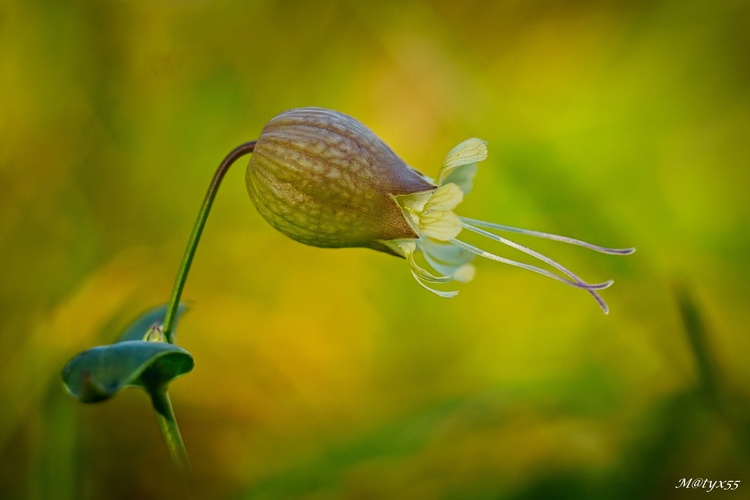 jesenné stretnutie...