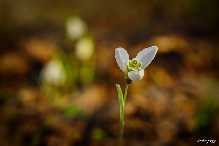 na slniečku dobre...