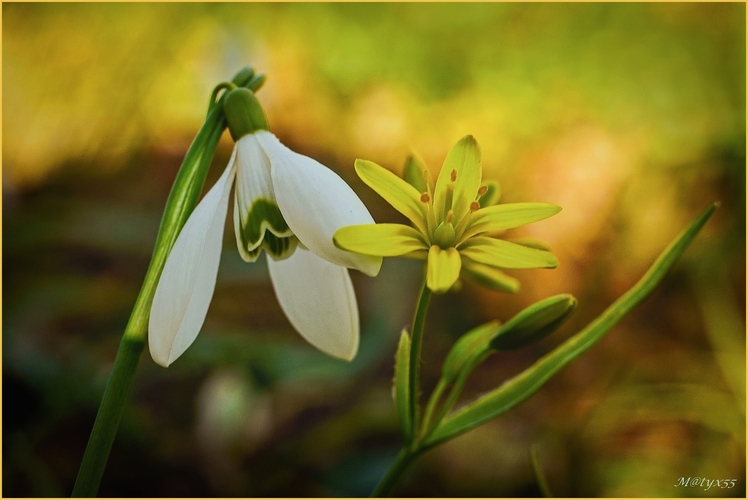 marcové stretnutie...