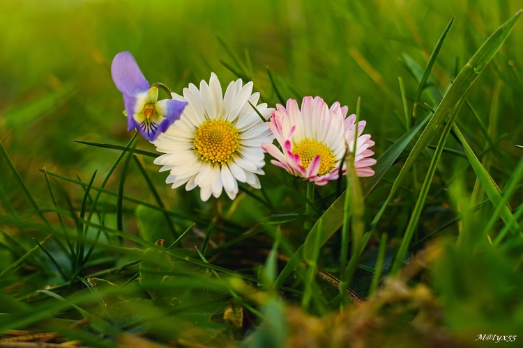 túlanie v tráve...