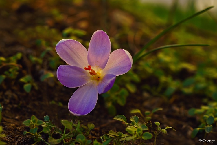 podvečerné stretnutie...