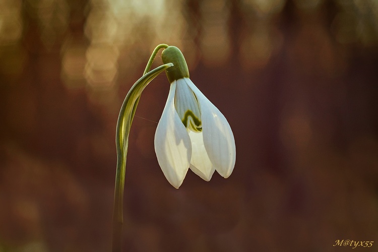 najsamkrajšia...   :-)