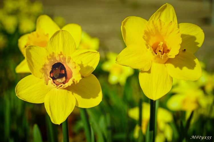 slniečka na slniečku...