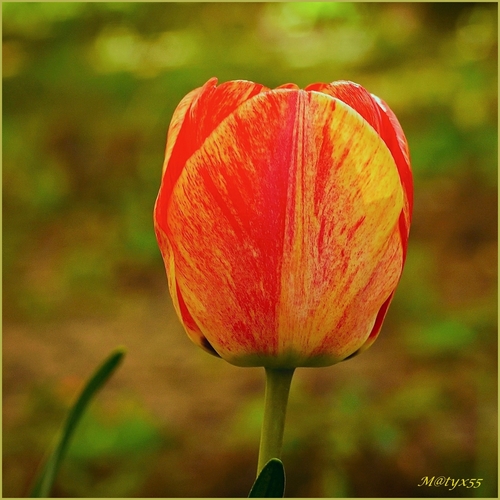 príroda maliarka...