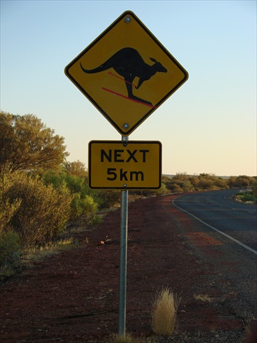 a že sa kengury nevedia lyžovať!