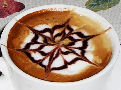 kávový kvet