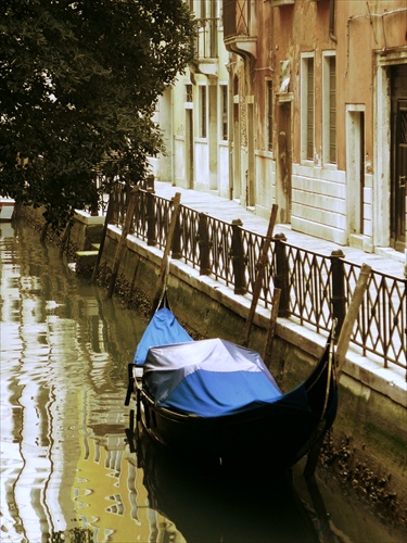 Venice 2011 n1
