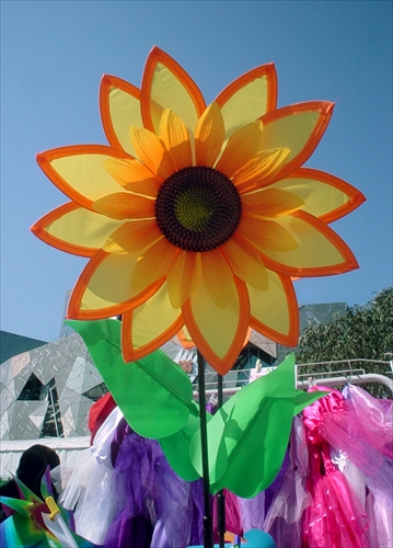 Flower on Federation Square
