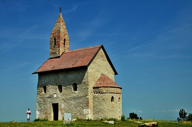 Pomer medzi vekom a veľkosťou.