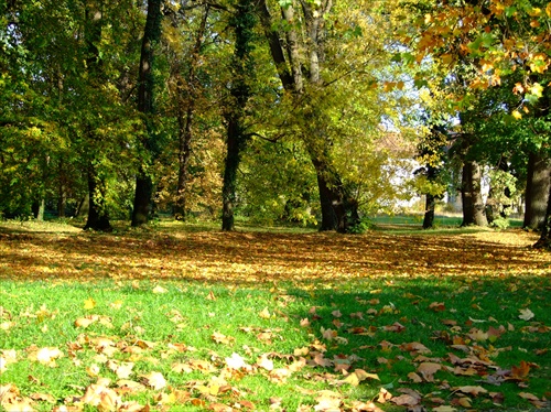 jeseň v parku