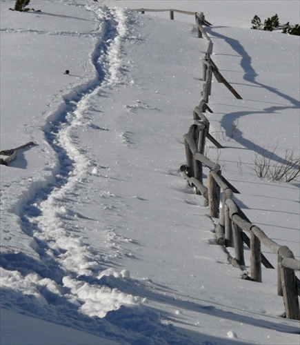 chodník snehom