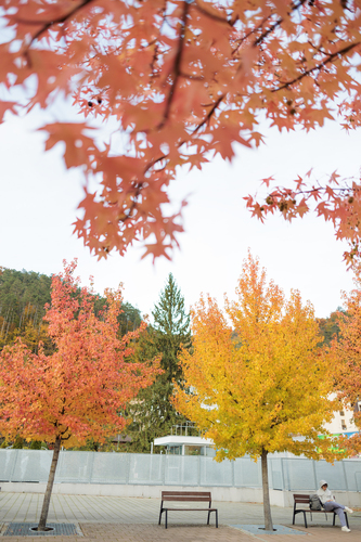 50 odtieňov okrovej