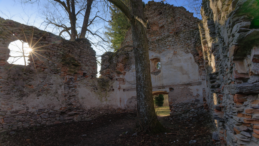 Jedného dňa, aj tu vyrastie strom.