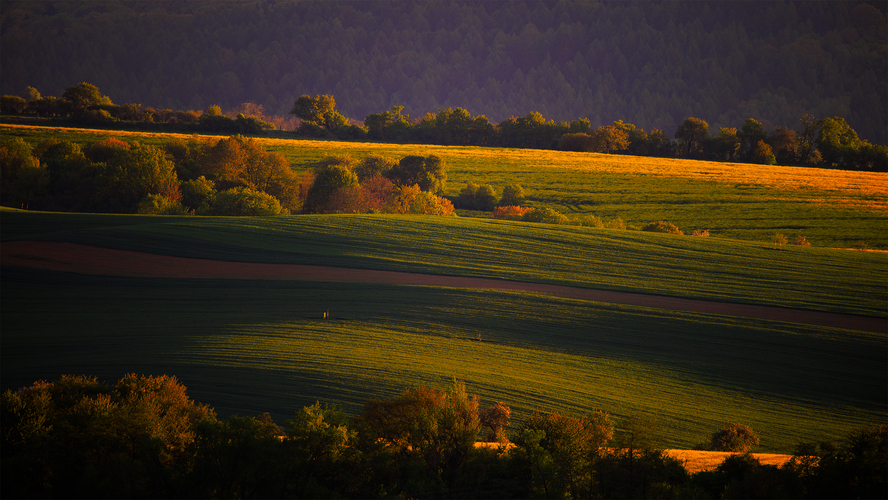 Soblahovská