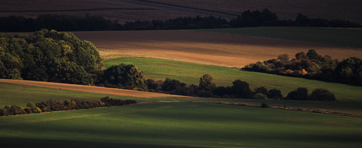 Polia, svetlo.