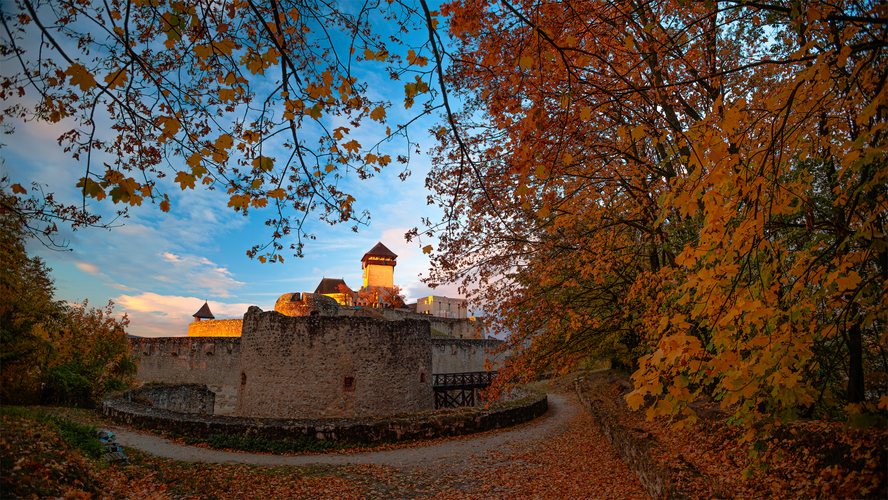 🍂🏰