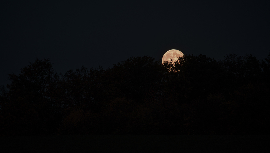 🌕
