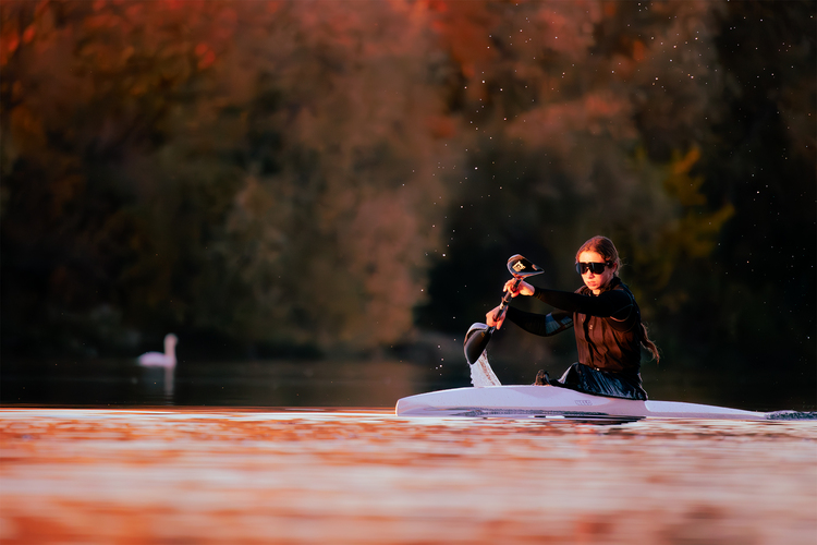 🦢🛶🍂