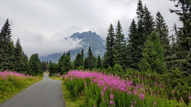 Tatry