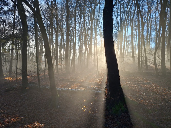 Čím vyššie tým krajšie