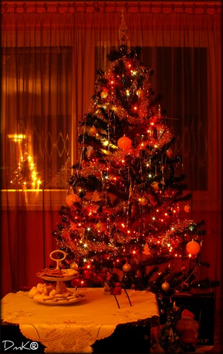 Náš Vianočný stromček