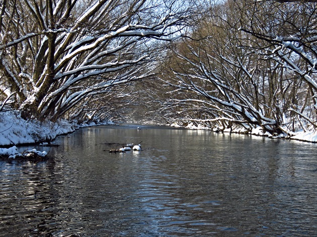 rieka v zime