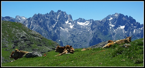 Picos de Europa,Asturias,Spanielsko
