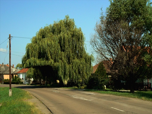 Nie vetrom, kamionmi ošľahaná  II