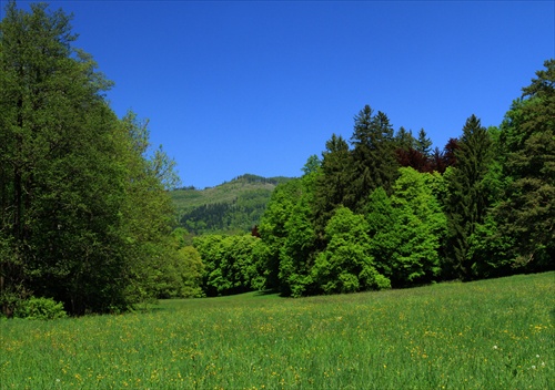 Pohľad do Volovských vrchov