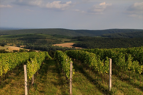 Kraj pod Pálavou, Morava
