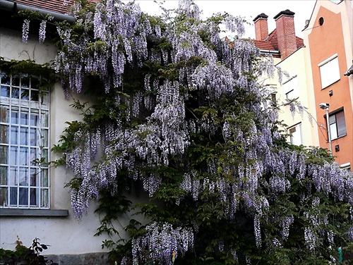 ...a jar pokračuje. II