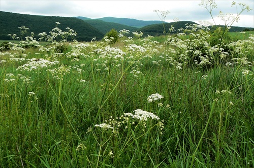 Jarná krajina