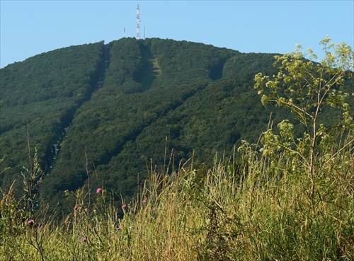 Zjazvená krajina