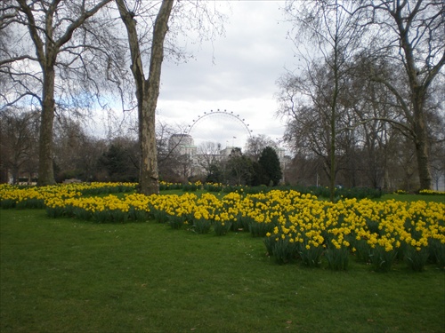 St. James´s Park  v Londýne na jar