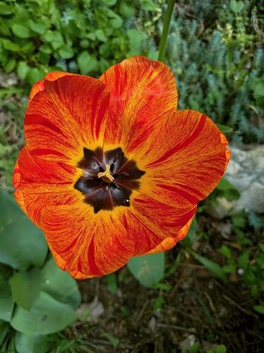 S větrem, bez slunce