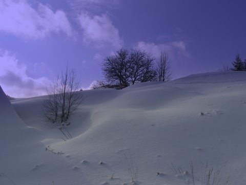 nasnežilo