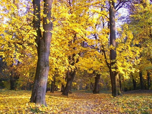 jesenným parkom I