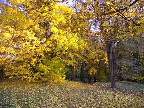 jesenným parkom II
