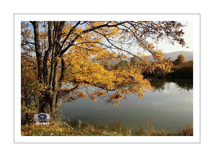 jesenné zátišie🍂