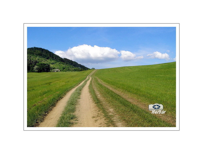 poľnou cestičkou
