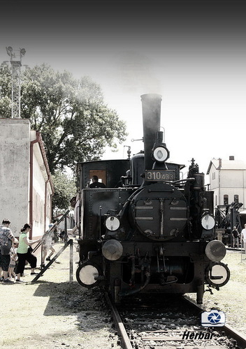 310 433