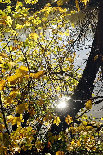 jesenné zátišie🍂