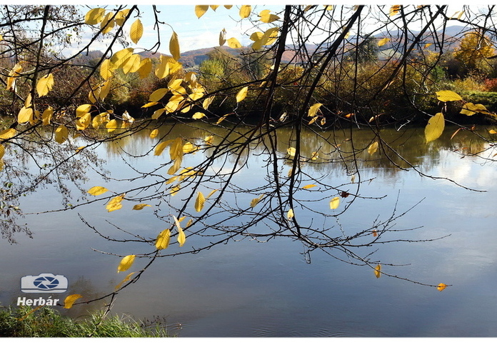 jesenné zátišie🍂