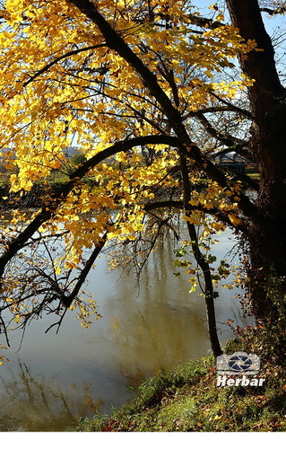 jesenné zátišie🍂